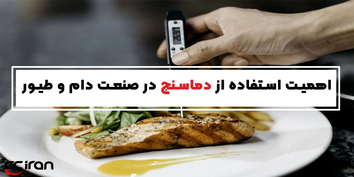 اهمیت استفاده از دماسنج در صنعت دام و طیور (گوشت منجمد و گرم)